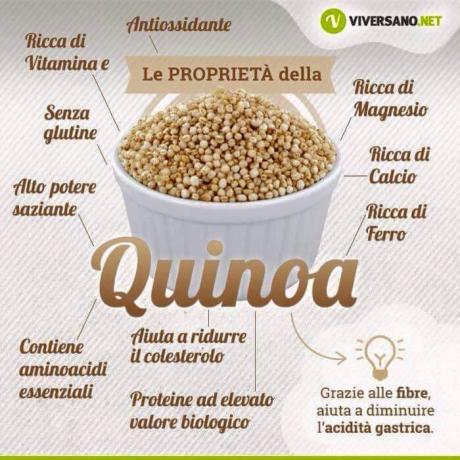 quinova alimento per dimagrire
