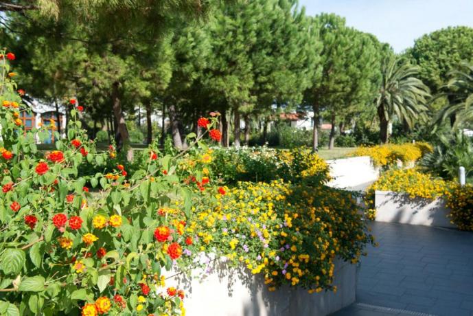 Aiuole fiorite giardino albergo a Vieste 