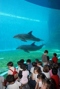 School trips to the Aquarium of Genoa