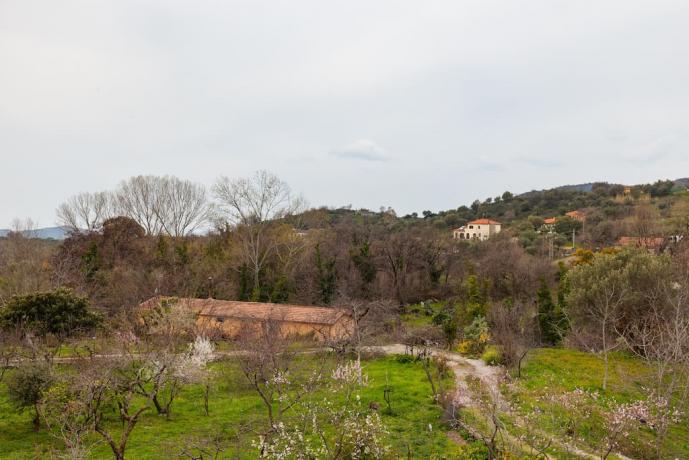 Appartamenti Famiglie Cilento Campagna 