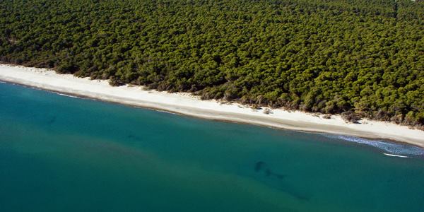 Residence fronte mare con Spiaggia convenzionata-Metaponto 