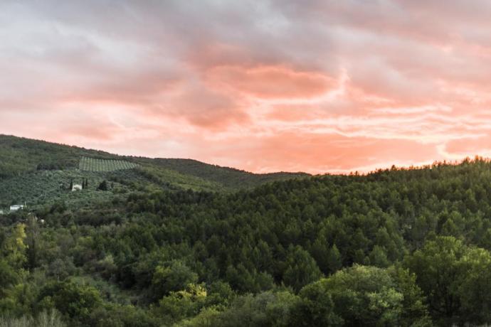 Agriturismo con bella vista 