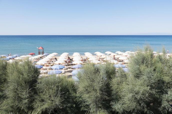 Spiaggia con pineta a Capo Rizzuto