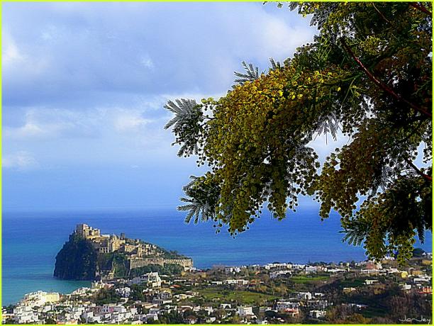 Vista Castello Aragonese a Ischia  