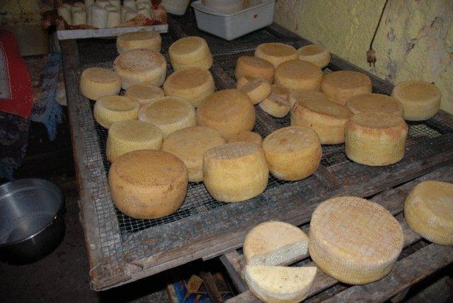 Prodotti casarecci in agriturismo bio a Palinuro