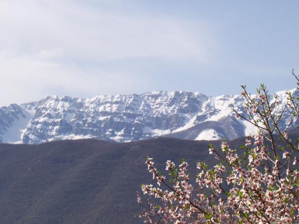 Appartamenti con panorama monti Abruzzesi a Fontecchio 