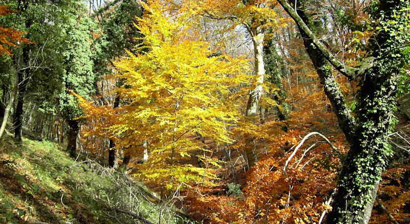 bosco esterno alla struttura 