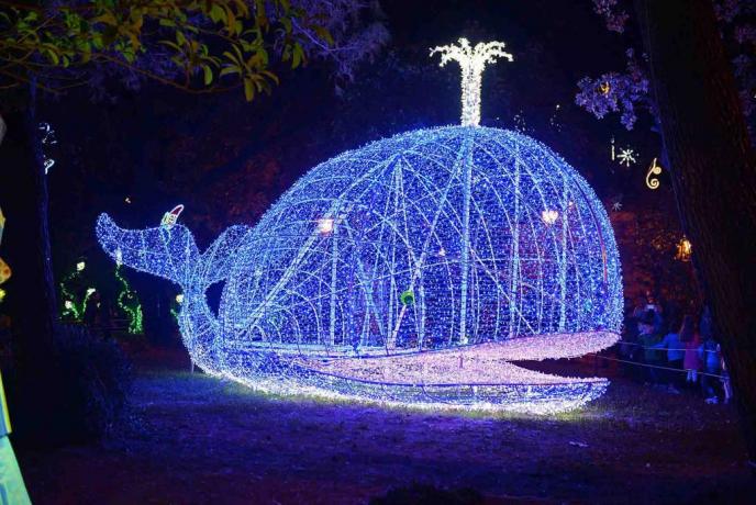 Luci D'Artista: Natale a Salerno