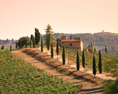 Wineries in Chianti