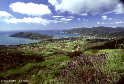 hotel parco arcipelago toscano: Giglio Montecristo