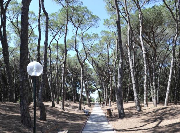 Resort Baia Domizia con pineta e parco giochi