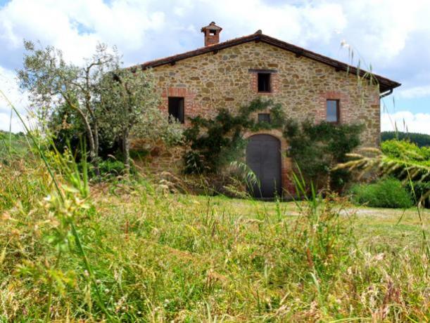 Rural home with cured garden