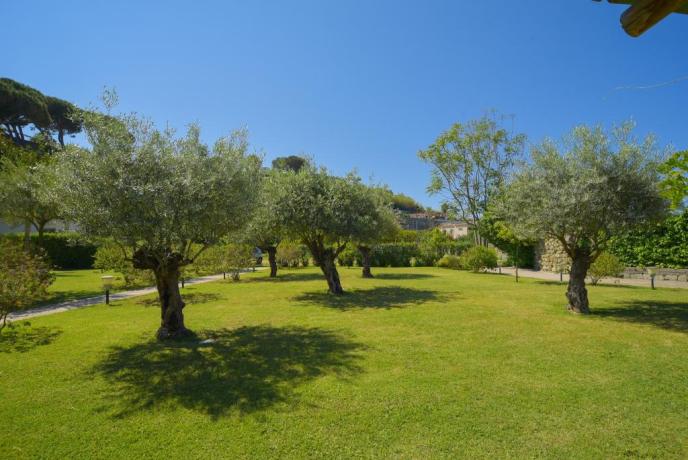 Albergo con Giardino e Piscina a Ischia 