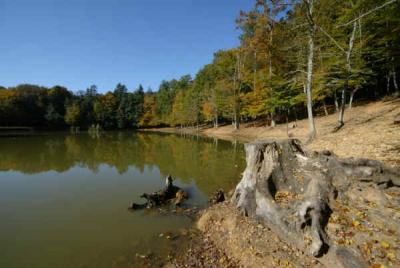 Vacanza Benessere vicino alla Foresta Umbra, Gargano