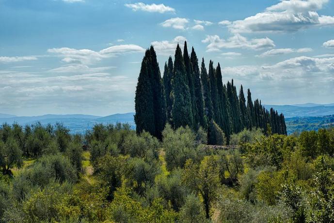 Casa Vacanze a pochi km da Siena 