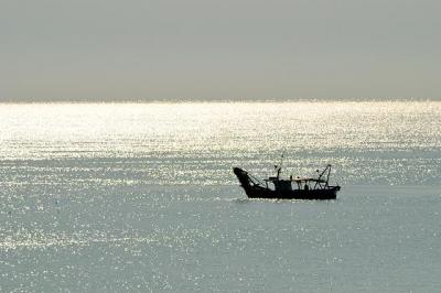 The Clam fisher at Dawn, Porto Recanati