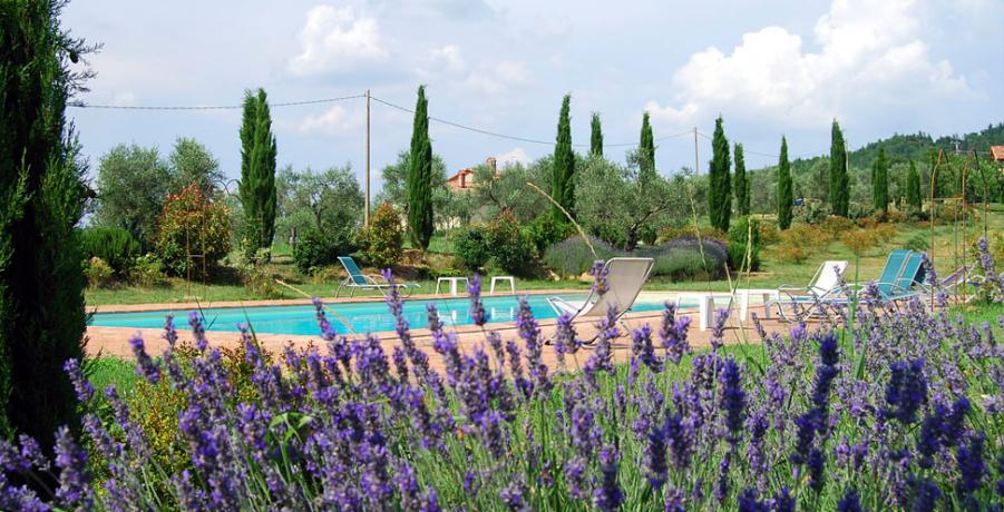 Equipped and panoramic swimming pool