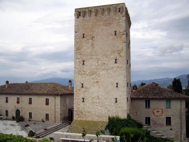 Agriturismo Umbria con visite guidate azienda vinicola  