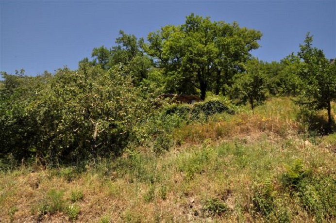 Casa Vacanza vicino Spoleto e Norcia