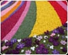 L'Infiorata di Spello