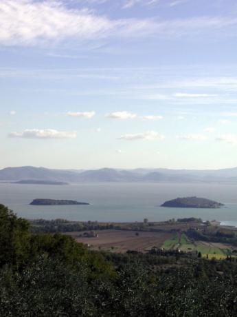 Isles in Trasimeno Lake