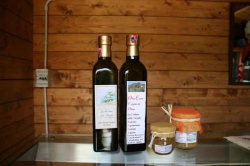 Ristorante con prodotti biologici, B&B Castelbellino