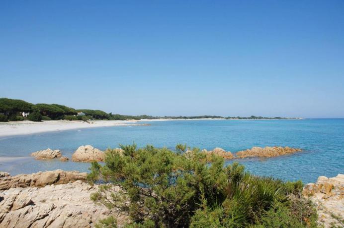 Il mare della Sardegna a Orosei