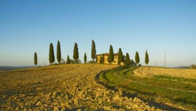 Agriturismi a Prezzi Bassi vicino a Siena