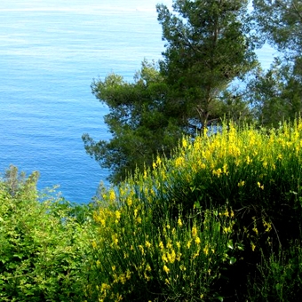 vacanze a portofino