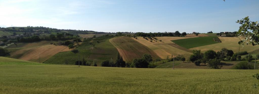 Paesaggio dintorni 