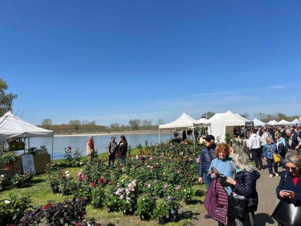 Georgica. Festa della terra, delle acque e del lavoro nei campi