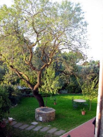Giardino