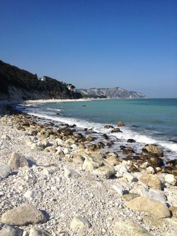 B&B sulla Spiaggia Riviera del Conero