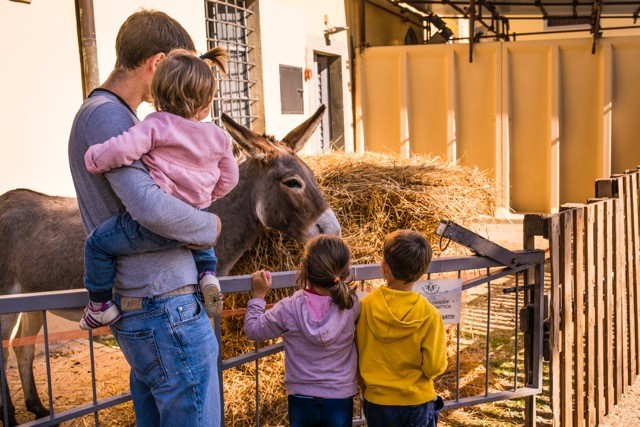 Visita animali in fattoria agriturismo Fiesole