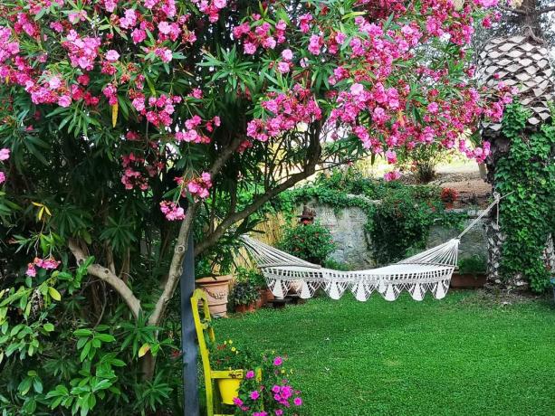 vacanza relax mare maremma argentario