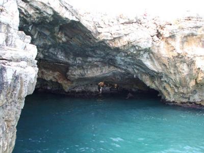 Visita le Grotte e il Mare Puglese