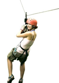 Zip-Line vola sopra il parco