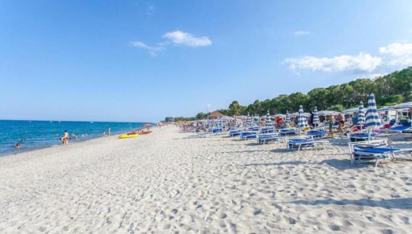 Spiaggia di sabbia attrezzata con ombrelloni e lettini