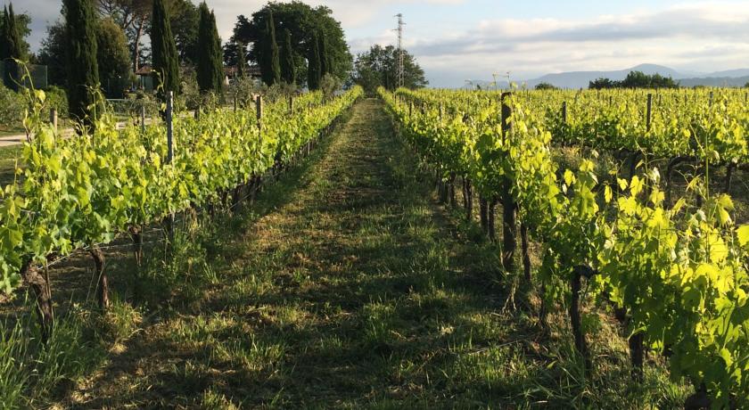 Agriturismo a Montemerano in Toscana 