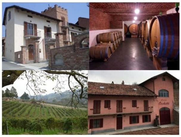 PODERI MORETTI visita cantina e degustazione pregiati vini Langhe e Roero