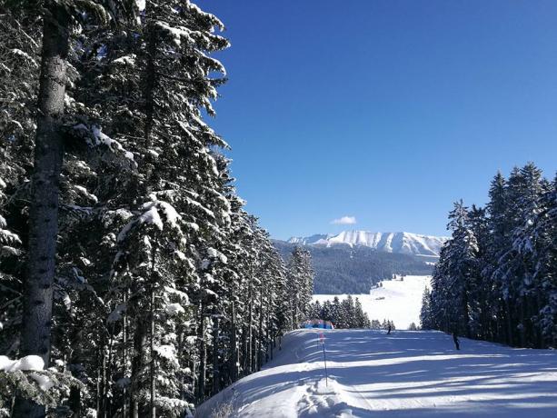 Vacanze sulla neve a Lavarone-Trento hotel 3stelle 