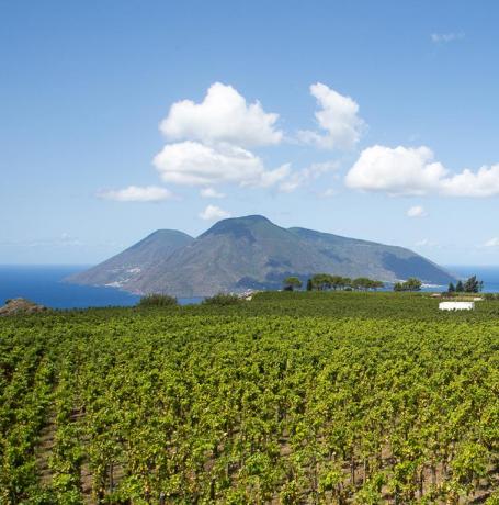 Relais Lipari 2km mare vendita vino Sicilia