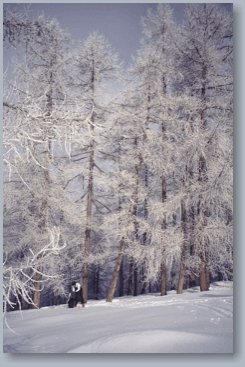 Visita Tavagnasco in Estate o Inverno, Torino