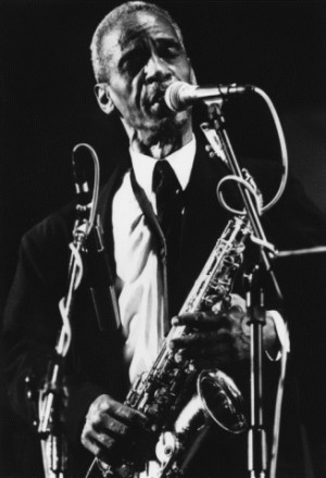 Il Jazz Festival a Fano, Artisti Internazionale
