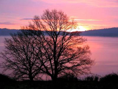 Riserva naturale del Lago di Vico in Tuscia