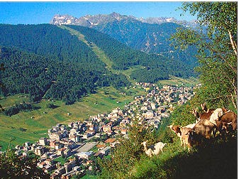 Albergo di lusso o agriturismo? Offerte vantaggiose!