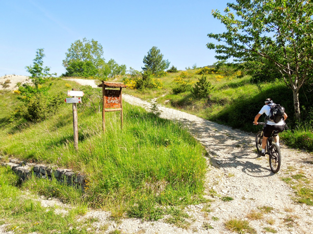 Escursioni sul Monte Fumaiolo