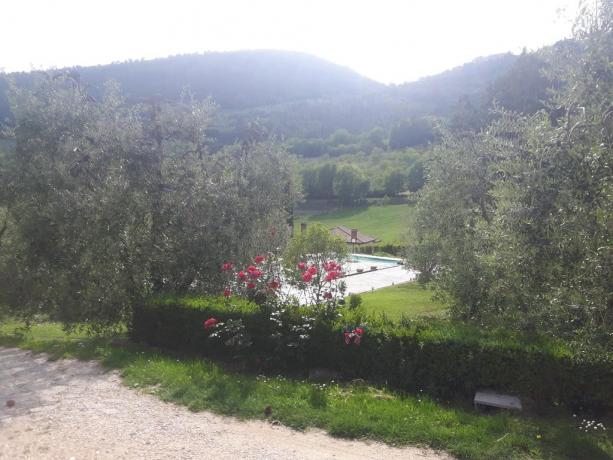 Vista piscina agriturismo a Ferentillo