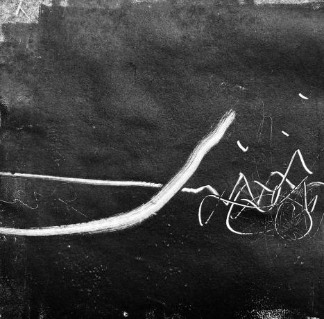 Spazi interni. Virginia Carbonelli