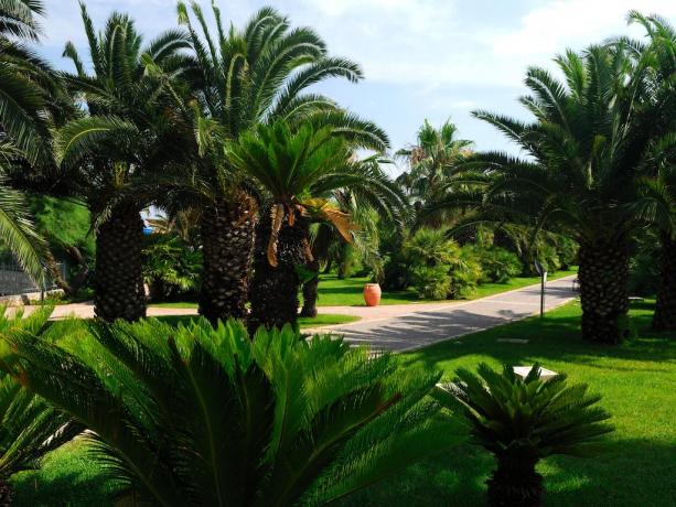 TORRESERENA Villaggio BLUSERENA  con Piscina e animazione 